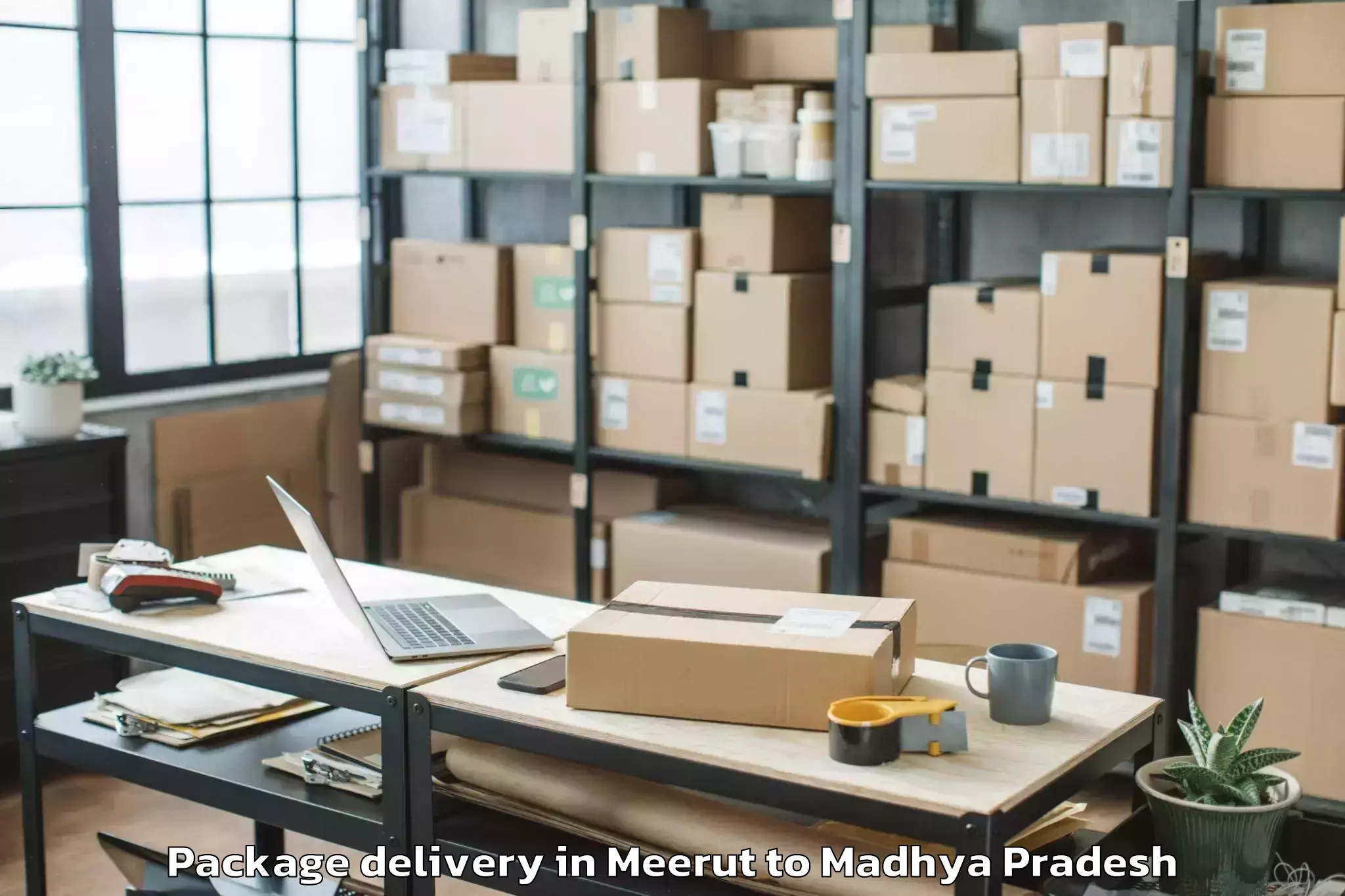 Top Meerut to Harsud Package Delivery Available